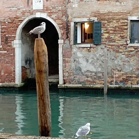 بيت ضيافة Zen , Canal View *